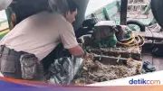 7 Nelayan Ditangkap Usai Curi Besi Antikarat Pelindung Tiang Pancang Jembatan Suramadu