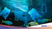 BRIN Temukan Mikroplastik di Kedalaman 2.450 Meter di Laut Indonesia