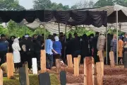 Fenomena 'Mawar Vidi' di TPU Tanah Kusir: Mawar Biru Jadi Tren Baru Peziarah