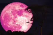 Fenomena Pink Moon Akan Hiasi Langit Malam 1-3 April 2026