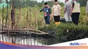 Gubernur Jateng Tinjau Tanggul Jebol di Pekalongan, Minta Penanganan Dikebut