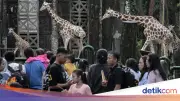 Hari Kedua Lebaran, Ragunan hingga Monas Buka untuk Wisatawan di Jakarta