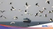 Iran Tutup Selat Hormuz untuk Musuh, Thailand Capai Kesepakatan Lintas Aman