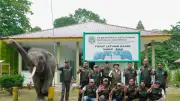 Menhut Tinjau PLG di Riau, Perkuat Fasilitas dan Revitalisasi Konservasi Gajah Sumatera