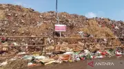 Pedagang Pasar Kramat Jati Keluhkan Sampah Menggunung Meski Bayar Retribusi Rp 600.000 per Bulan