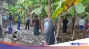 Petasan Jumbo Sebesar Paha Meledak di Pangandaran, 2 Pemuda Terluka Serius