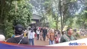 Ragunan Dibanjiri 60 Ribu Pengunjung di H+2 Lebaran, Diprediksi Tembus 100 Ribu