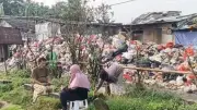 Warga Jaktim Keluhkan Bau Menyengat dan Jalan Becek Akibat Tumpukan Sampah di TPS Rawadas