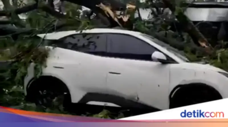 Cuaca Ekstrem Bogor: Pohon Tumbang Rusak Rumah, Timpa Mobil, dan Rusak Sekolah