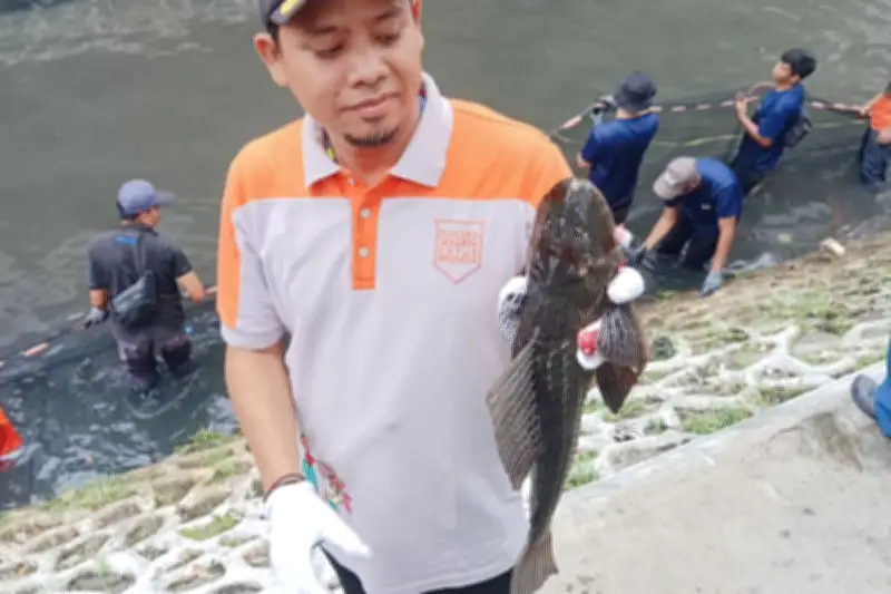 Ikan Sapu-Sapu di Jakarta Dilarang Dikonsumsi, Ini Alasan Ilmiahnya
