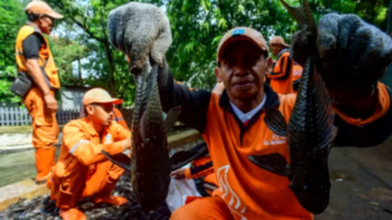 Nelayan Ciliwung Jelaskan Alasan Ikan Sapu-Sapu Sulit Dibasmi: Bertelur Ribuan Ekor
