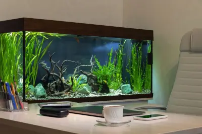 Akuarium Bantu Redakan Stres dan Cemas, Ini Manfaatnya untuk Kesehatan Mental