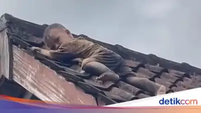 Balita di Lombok Tengah Merayap di Atas Genteng, Proses Evakuasi Penuh Ketegangan