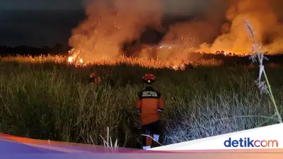 BMKG Prediksi Potensi Karhutla 2026 Mulai Juni, Ini Langkah Mitigasi yang Disiapkan