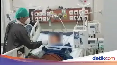 Bocah Tasikmalaya Habiskan 50 Vial Antibisa Usai Dipatuk Ular Weling Saat Tidur