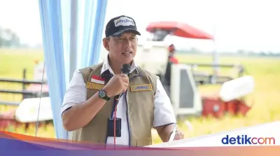 Bulog Pastikan Stok Beras Nasional Aman Hadapi Kemarau Panjang El Nino