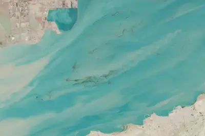 Citra Satelit ESA Tangkap Tumpahan Minyak di Teluk Persia Pascaserangan