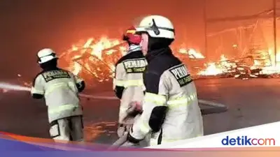 Gudang Makanan Kucing Terbakar di Tangerang, Kerugian Capai Rp 10 Miliar