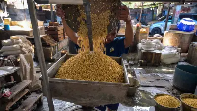 Harga Kedelai di Jakarta Tembus Rp 20 Ribu, Pemprov DKI Dorong Urban Farming