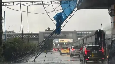 Hujan dan Angin Kencang Ganggu Ruas Tol Jakarta, Pohon Tumbang hingga Fasilitas Roboh