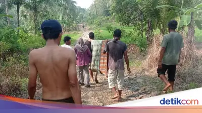 Ibu di Pandeglang Ditandu 1 Km Usai Melahirkan Akibat Jalan Desa Rusak Parah