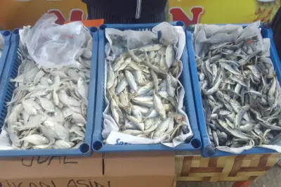 Ikan Asin Disebut Karsinogenik, Ini Fakta dan Penjelasannya