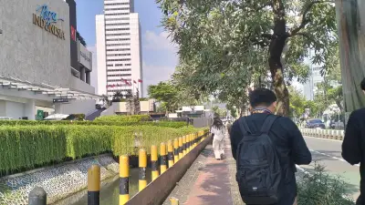 Ikan Sapu-Sapu Bergelombang di Kali Plaza Indonesia, Warga: Justru Indah dan Bermanfaat