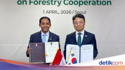 Indonesia dan Korea Perkuat Kerja Sama Penanganan Kebakaran Hutan dan Pengelolaan Lestari