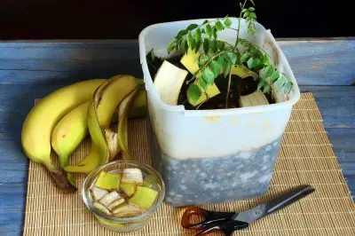 Kulit Pisang Ternyata Kaya Nutrisi, Ini Manfaat Medis dan Cara Aman Mengonsumsinya