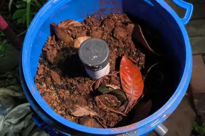 Manfaat Sisa Bahan Dapur untuk Kesuburan Tanaman