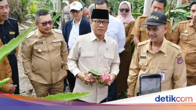 Mendes Yandri Dukung Penuh Pengembangan Desa Tematik Buah Naga di Luwuk Utara