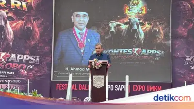 Muzani Dorong Pengembangan Bibit Sapi Tropis untuk Kurangi Impor