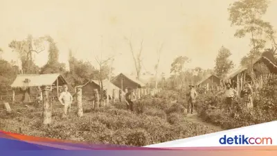 Nueva Germania: Utopia Arya Gagal di Paraguay