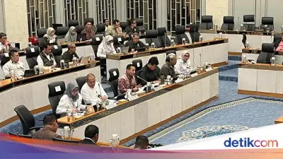 Pemerintah Larang Wisata Gajah Tunggang, Inpres Segera Diterbitkan untuk Lindungi Populasi