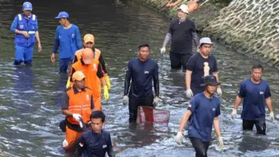 Pemprov DKI Gencar Kendalikan Ikan Sapu-Sapu, Pramono: Spesies Invasif Berbahaya
