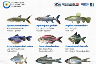 Pemprov DKI Jakarta Basmi 68.800 Ikan Sapu-Sapu Secara Serentak