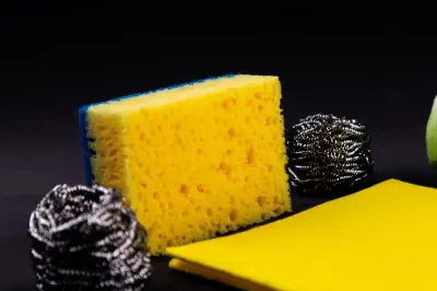 Penelitian Ungkap Sikat Cuci Piring Lebih Higienis Dibanding Spons