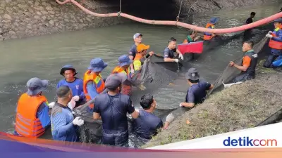 Petugas Jakbar Dapat Hadiah Uang dan Tiket Ancol Usai Tumpas Ikan Sapu-sapu