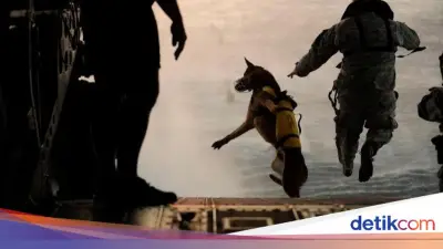 Profil Navy SEAL Team Six, Tim Elit AS yang Selamatkan Pilot dari Iran