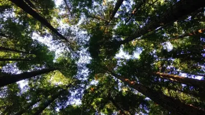 Transformasi Hijau SIG: Limbah Jadi Energi dan Reklamasi Lahan