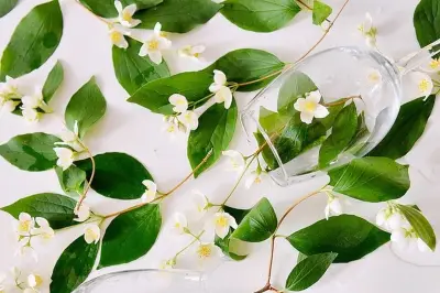 WFH Bukan Kebebasan Mutlak, Tapi Bisa Jadi Jebakan Stres Tersembunyi