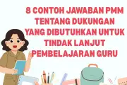 8 Contoh Jawaban PMM untuk Dukungan Tindak Lanjut yang Diperlukan