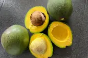 8 Tips Jitu Memilih Alpukat Matang Sempurna, Hindari Kekecewaan