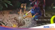 Anak Kandung Tega Mutilasi dan Kubur Ibu di Lahat, Sumatera Selatan