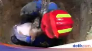 Anjing Tercebur Sumur di Bogor, Srikandi Damkar Turun Evakuasi
