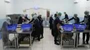 BGN Terapkan Prinsip 'No Service, No Pay' untuk Hentikan Insentif SPPG Jika Fasilitas Tak Layak