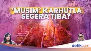 BMKG Peringatkan Fusi Kemarau dan El Nino Godzilla, Karhutla Mengancam Indonesia