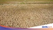 BMKG Prediksi El Nino Lemah hingga Moderat di Semester II 2026, Picu Kekeringan