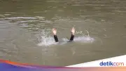 Bocah 6 Tahun Hanyut Saat Bermain di Sungai Ciliwung Bogor, Pencarian Dihentikan