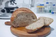 BRIN Kembangkan Sourdough Beras Merah Segreng Handayani dari Gunungkidul